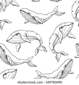 Whale seamless pattern. Hand drawn cachalot. Vector illustration. Physeter macrocephalus. Ink graphic