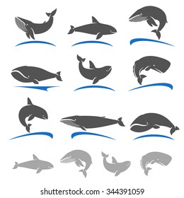 Whale set. Vector