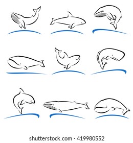 Whale set. Vector