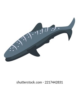 Whale Shark Animal Icon Isometric Vector. Fish Sea. Marine Species