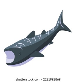 Whale shark animal icon isometric vector. Fish sea. Aquarium species