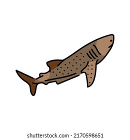 Whale shark color line illustration. Marine mammals.