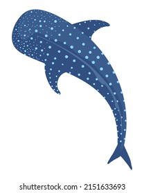 whale shark fish sealife animal