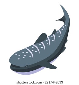 Whale shark icon isometric vector. Ocean fish. Animal marine
