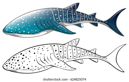 whale shark vector hd stock images  shutterstock