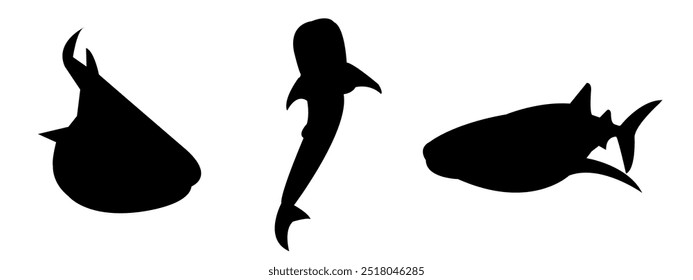 Whale shark silhouette set collection. isolated black on white background. sea, animal. vector illustration.