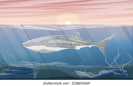 The whale shark swims in the cold sea. Giant fish of the World Ocean. Realistic vector underwater landscape