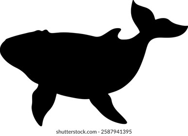 Whale silhouette illustration vector design.