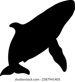 Whale silhouette illustration vector design.