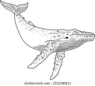 Whale. Whale silhouette. Mystical whale. Vector illustration.