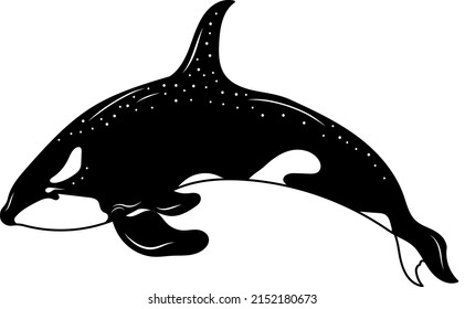 Whale. Whale silhouette. Mystical whale. Vector illustration.