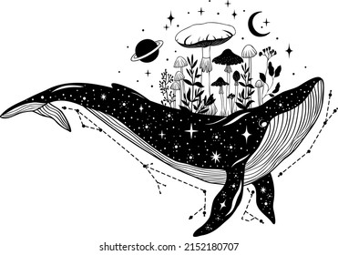 Whale. Whale silhouette. Mystical whale. Vector illustration.