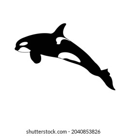 Whale Silhouette on isolated background. Vector drawing