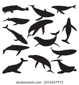 whale silhouette set collection isolated black on white background vector illustration