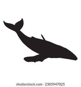 whale silhouette vector black color on white background