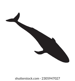 whale silhouette vector black color on white background