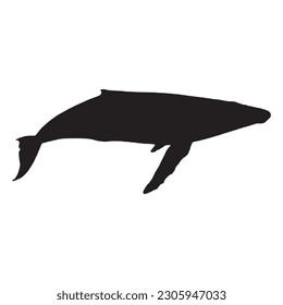 whale silhouette vector black color on white background