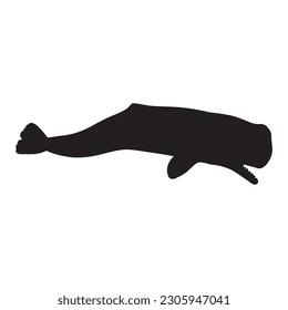whale silhouette vector black color on white background