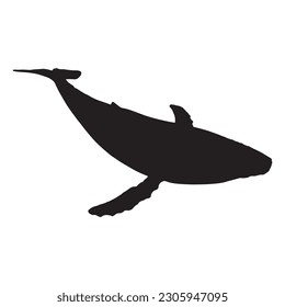 whale silhouette vector black color on white background