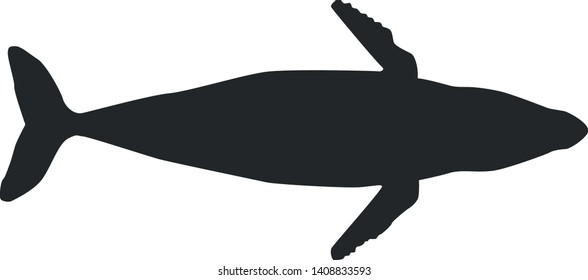 Whale silhouette. Whale vector illustration.