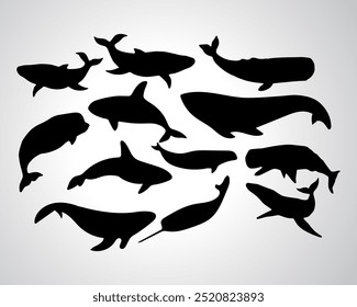Whale Silhouette Vector Images Stock