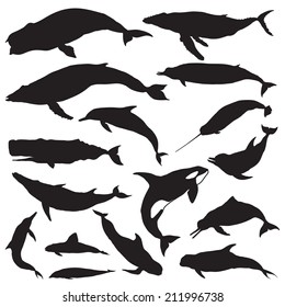 Whale Silhouettes set. Vector illustration