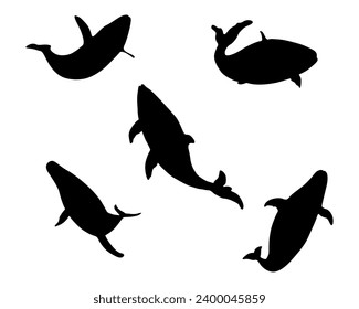  whale silhouettes vector illustration. Whale black isolated on white background.