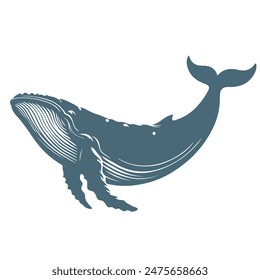 Whale a silhoutte vector art illustrator 