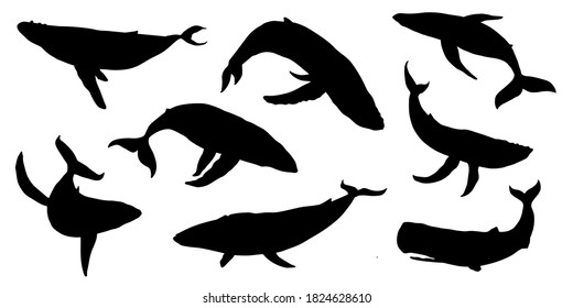 whale silhouttes on white background