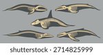 Whale skeletons displayed in vector format showcasing different species and positions for educational purposes and artistic exploration