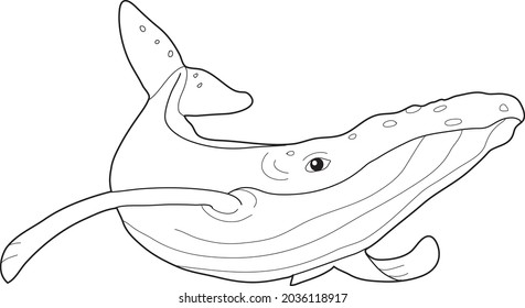 Whale sketch. Hand-drawn vector illustration. Isolated on white.