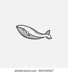 Whale sketch icon for web, mobile and infographics. Hand drawn vector isolated icon.