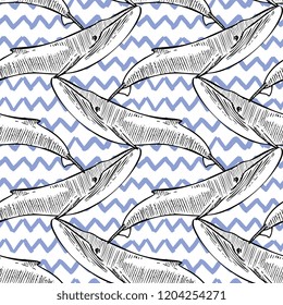 Whale Sketch Vector Illustration Seamless Pattern