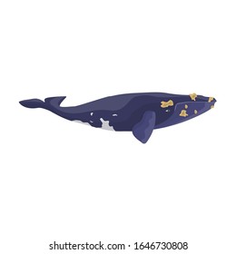 Whale south smooth japanese icon.Cartoon vector icon isolated on white background whale south smooth .