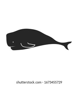 Whale sperm vector icon.Black vector icon isolated on white background whale sperm.