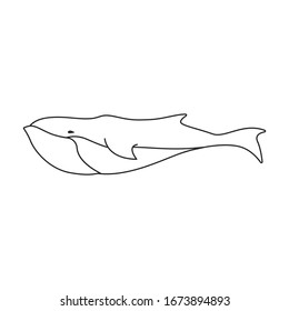 Whale sperm vector icon.Outline vector icon isolated on white background whale sperm.