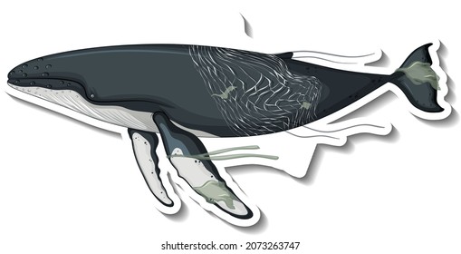 Whale stuck in plastic net on white background illustration