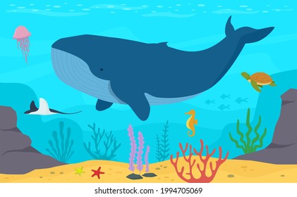 Whale swim in the ocean. Underwater life. Turtle, jellyfish, seahorse, stingray. Marine life vector illustration background.