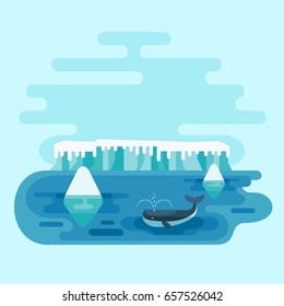 Whale swimming at ocean surface between icebergs. Arctic scene with snow-covered icy hummocks and marine animal in cold blue water. Flat design style. Vector illustration.