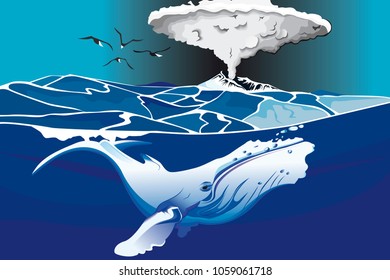 Whale is swimming under volcano