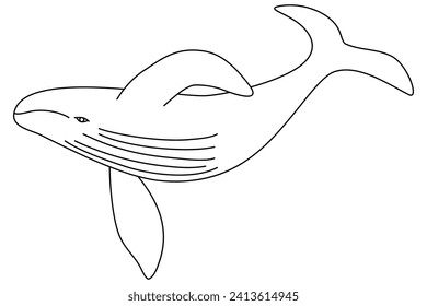 Whale swimming underwater, doodle style flat vector outline for coloring book