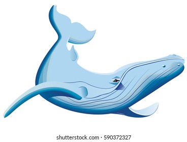 whale swing in color