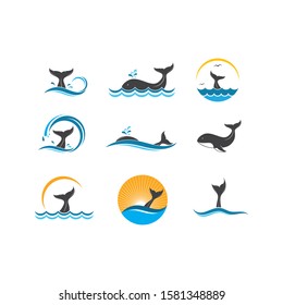 whale tail icon vector illustration design template