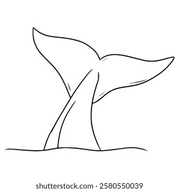 whale tail illustration hand drawn outline vector