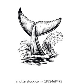 Whale tail with water splash, vector illustration. Black and white line whale sketch with ocean waves.