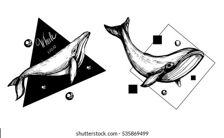 Whale tattoo sketch. Vector illustration