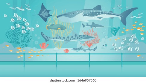 Whale and Tiger Shark, Stingray and Tropical Fish Swim in Saltwater Aquarium among Exotic Algae and Corals reef. Oceanarium in Museum or Zoo. View Under Water. Modern Flat Cartoon Vector Illustration