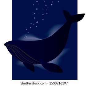 A whale under the ocean