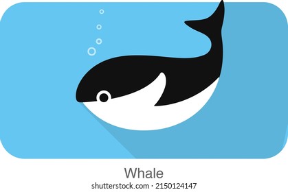 whale under the water, vector