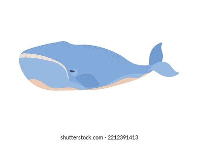 Whale Undersea Life Isolated Icon Flat